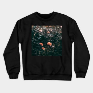 Late Autumn Rose #2 Crewneck Sweatshirt